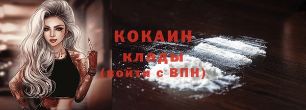 метадон Алексин